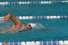 Swimming vs Bentley  Wheaton College Swimming & Diving vs Bentley College. - Photo by Keith Nordstrom : Wheaton, Swimming & Diving
